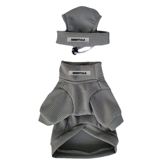 Moletom com Capuz Essentials