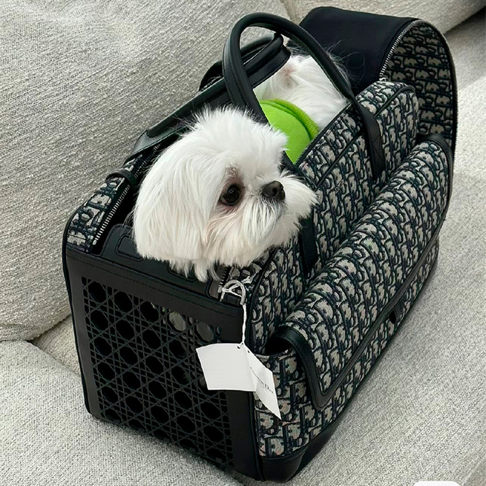 Bolsa de Transporte Dior