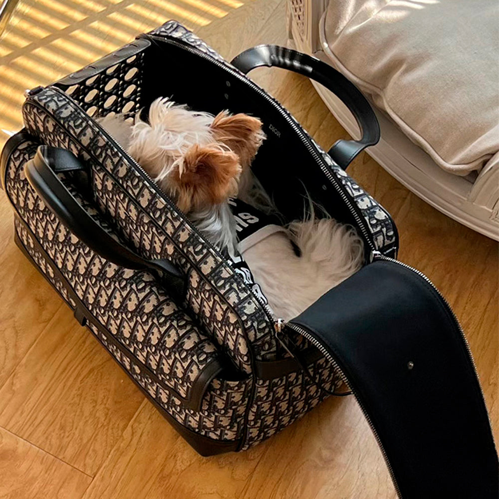 Bolsa de Transporte Dior