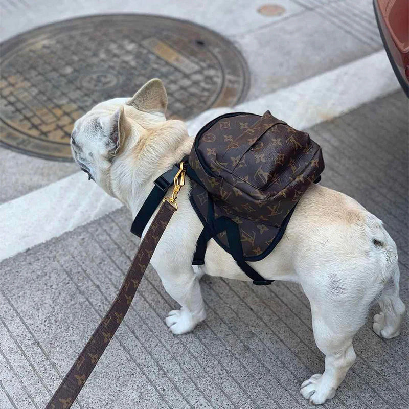 Mochila Louis Vuitton