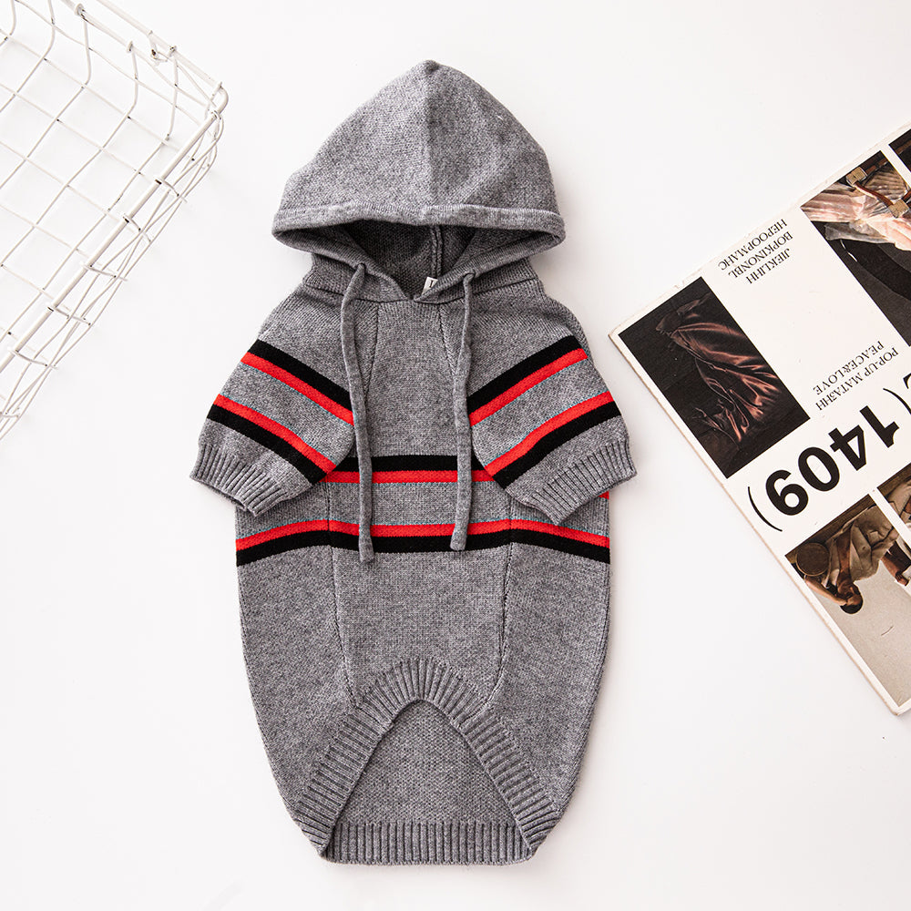 Suéter com Capuz Dior Trend