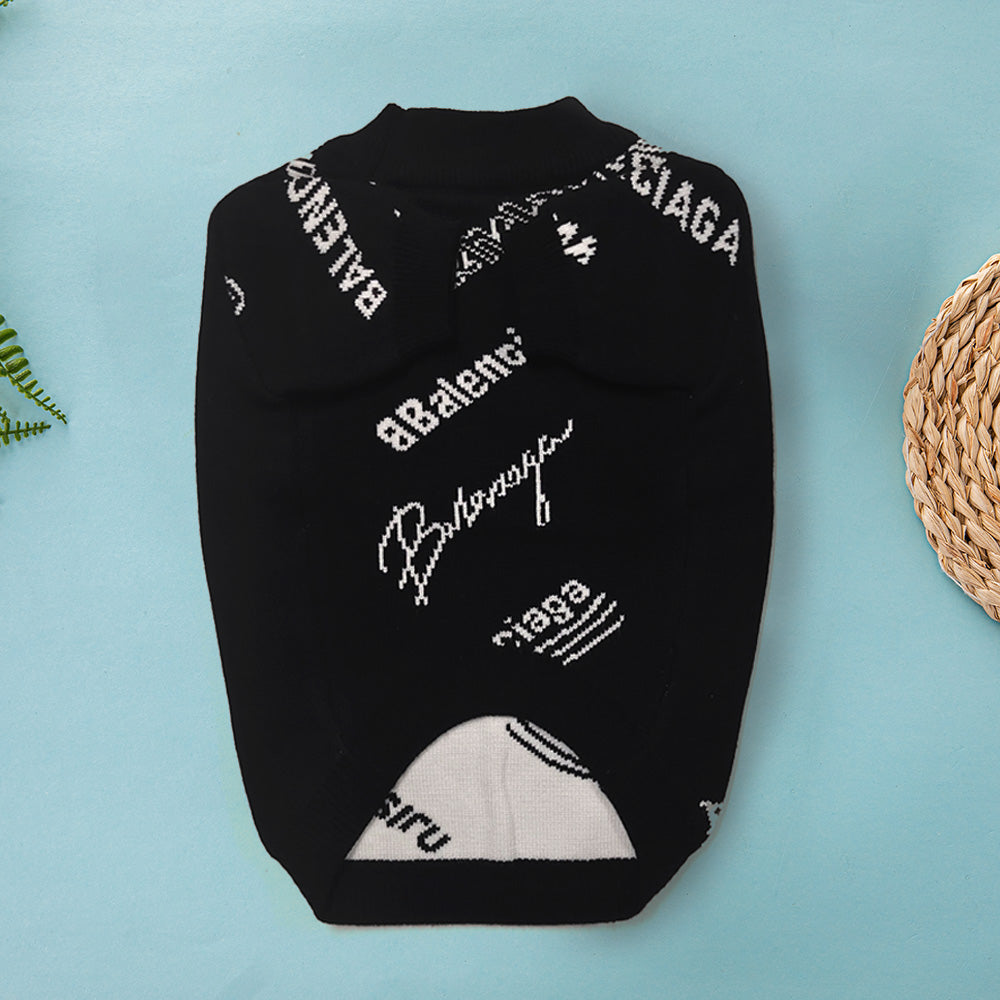 Suéter Balenciaga Panoply