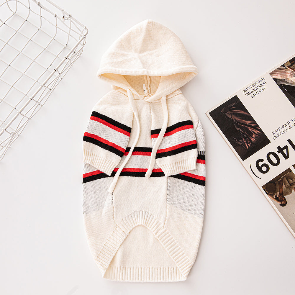 Suéter com Capuz Dior Trend