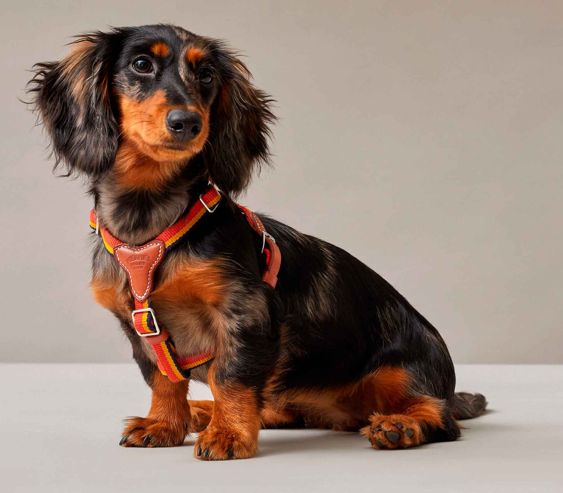 Peitoral Hermès Rocabar