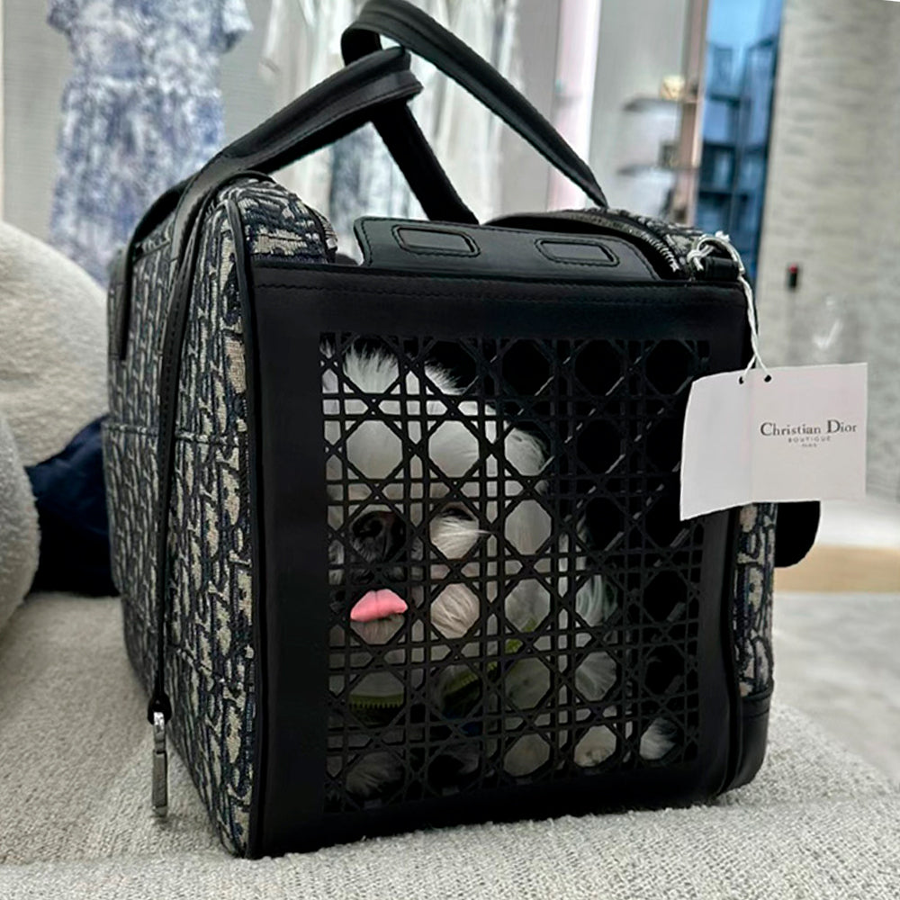Bolsa de Transporte Dior
