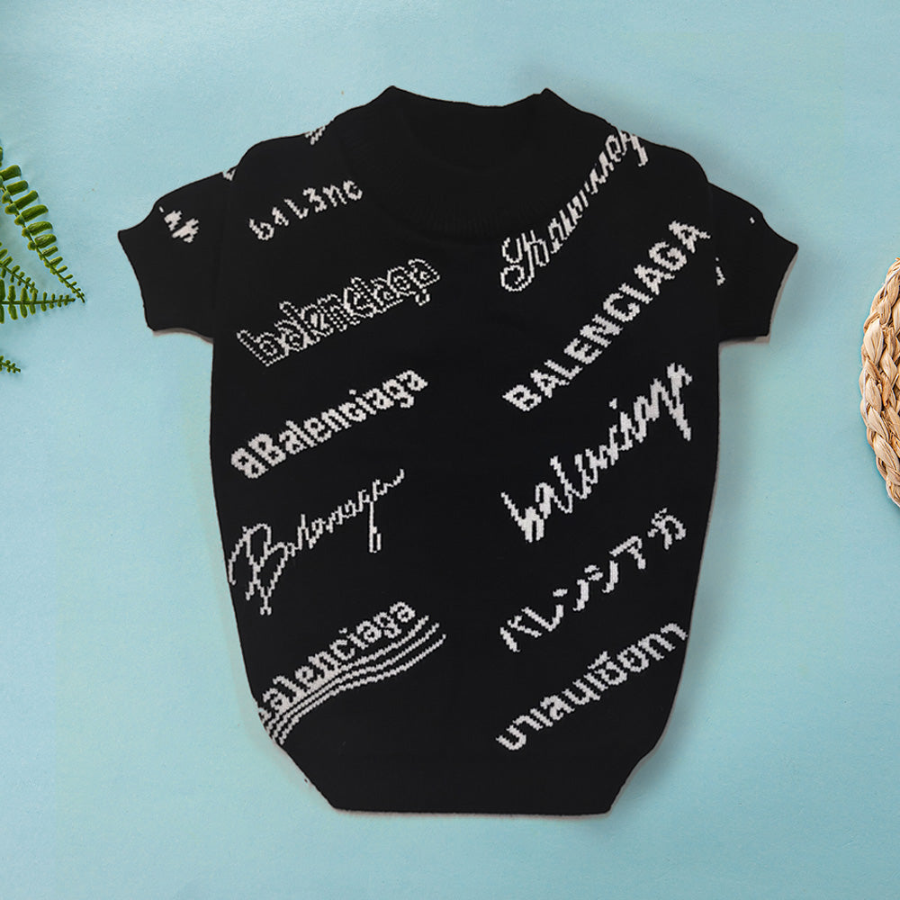 Suéter Balenciaga Panoply