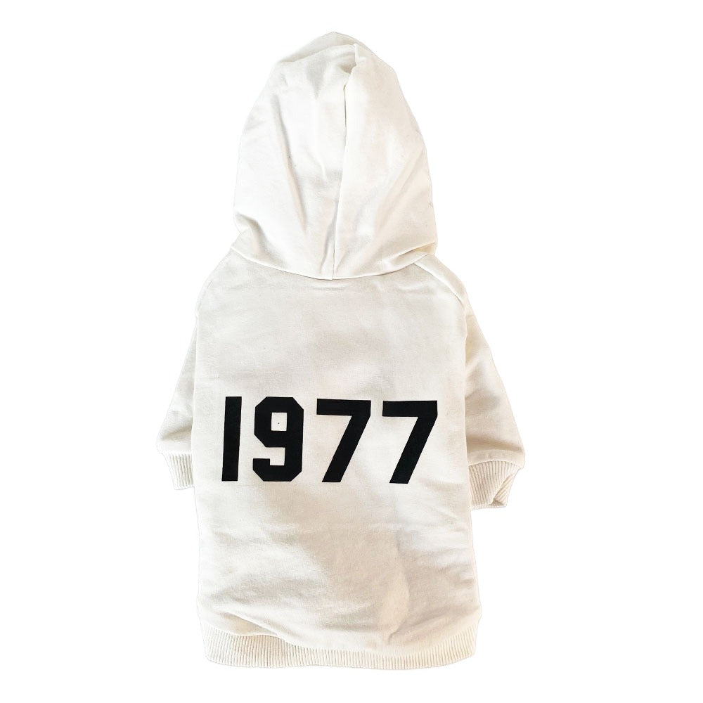 Moletom com Capuz Essentials